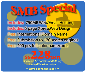 Best Singapore Web Design and Hosting Package