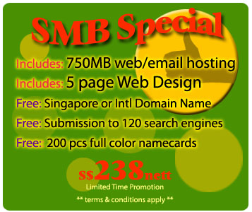 Best Singapore Web Design and Hosting Package