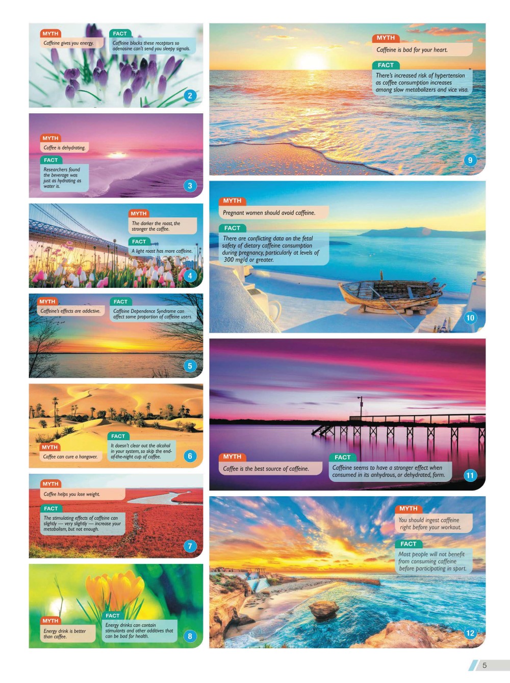 2023 Desktop Calendar Catalog A 005
