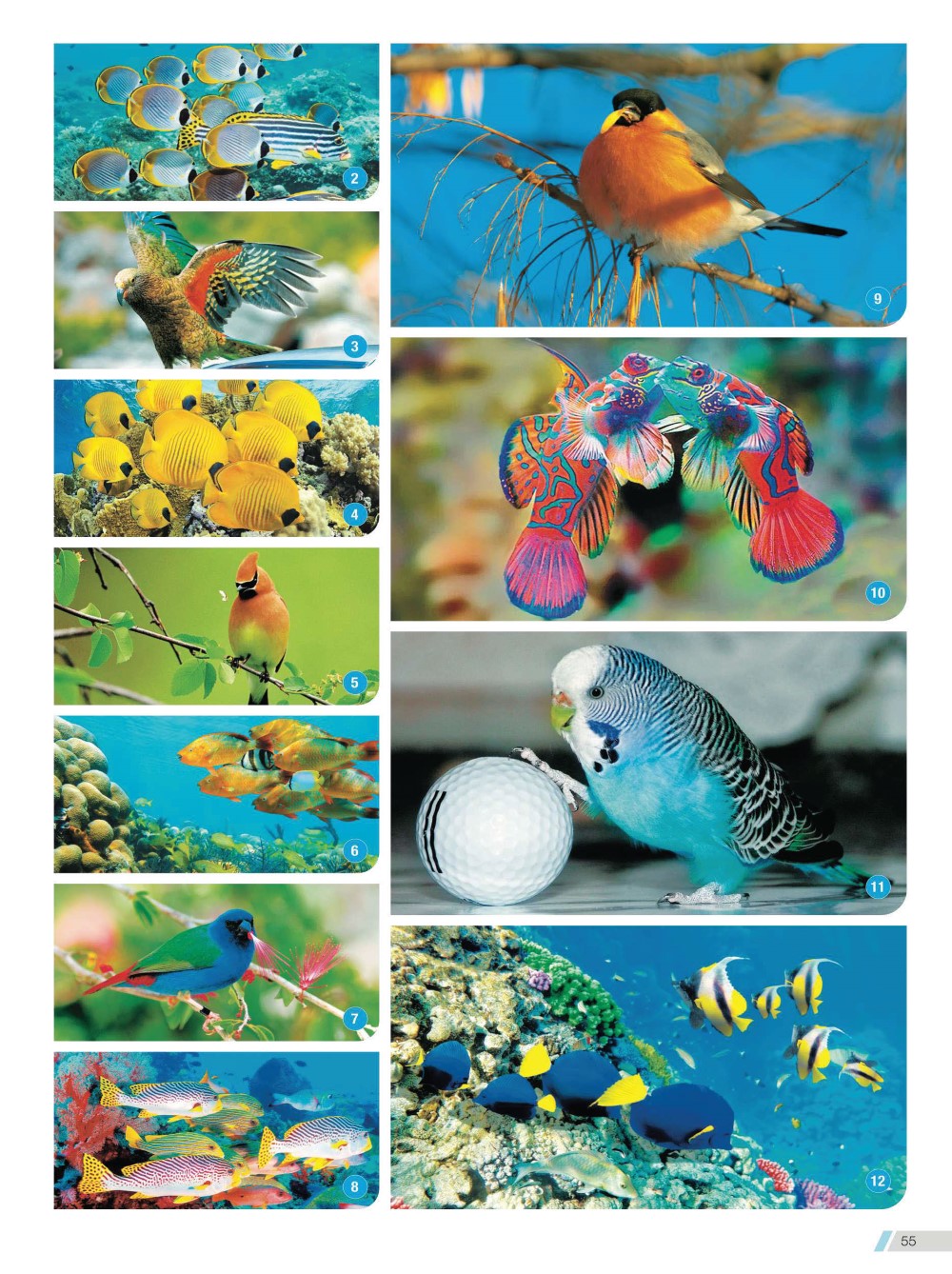 2023 Desktop Calendar Memobox Postit Catalog A 055