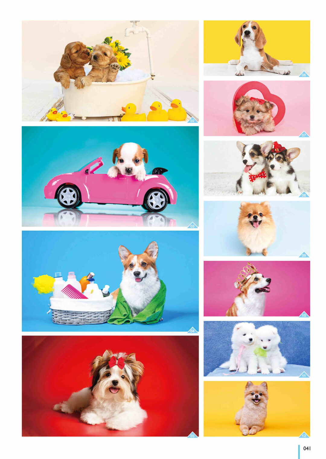 2024 Desktop Calendar Catalog A 041